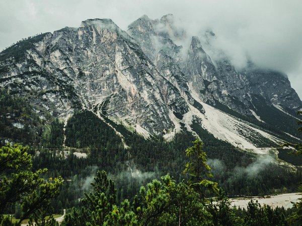 Quelles sont les techniques de survie essentielles pour un camping dans la jungle ?