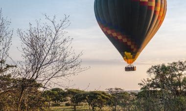 a hot air balloon flying over a lush green field