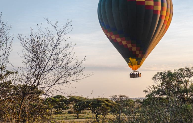 a hot air balloon flying over a lush green field